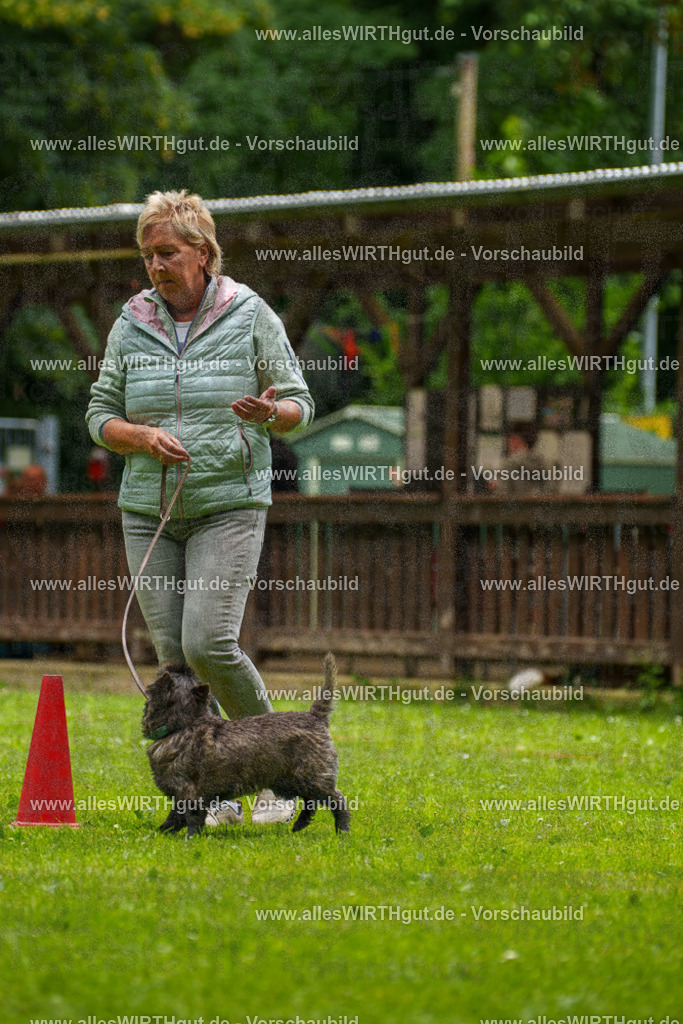 @allesWIRTHgut_Tierfotografie - www.allesWIRTHgut.de - 130204-7R509711 | Professionelle Tierfotografie in Mönchengladbach von Daniel Wirth (allesWIRTHgut). Liebevolle & natürliche Bilder von Hunden & Katzen für unvergessliche Erinnerungen.