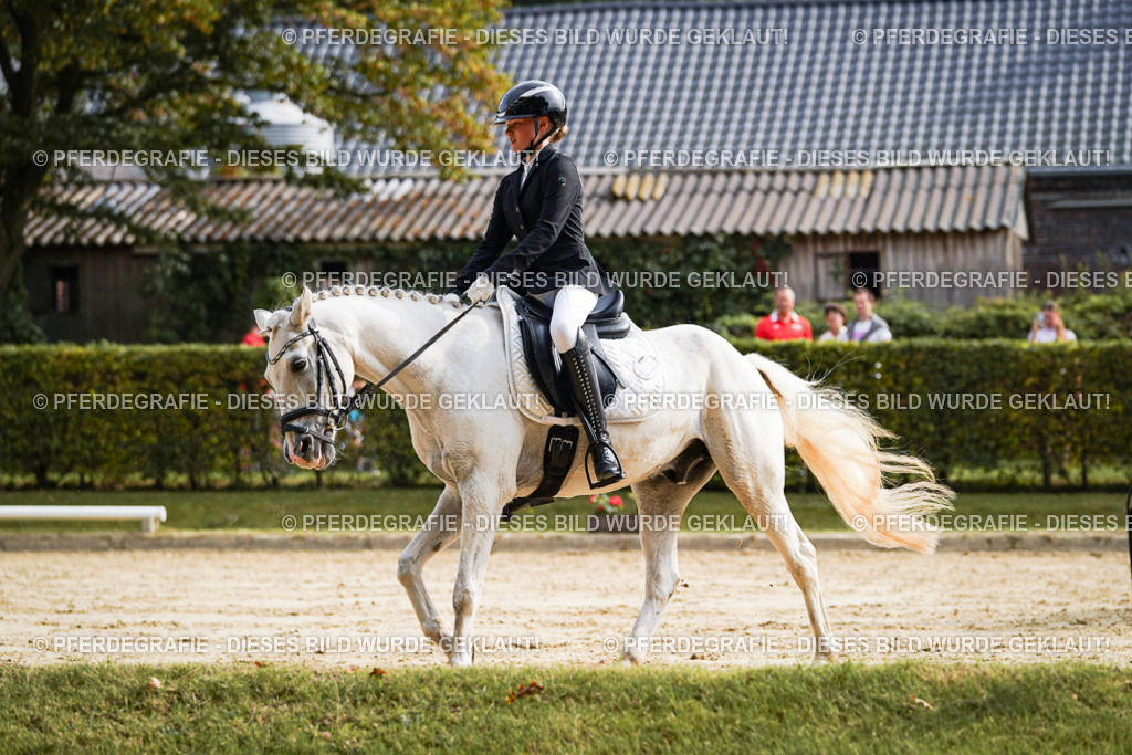 DSC04656 | Pferdegrafie