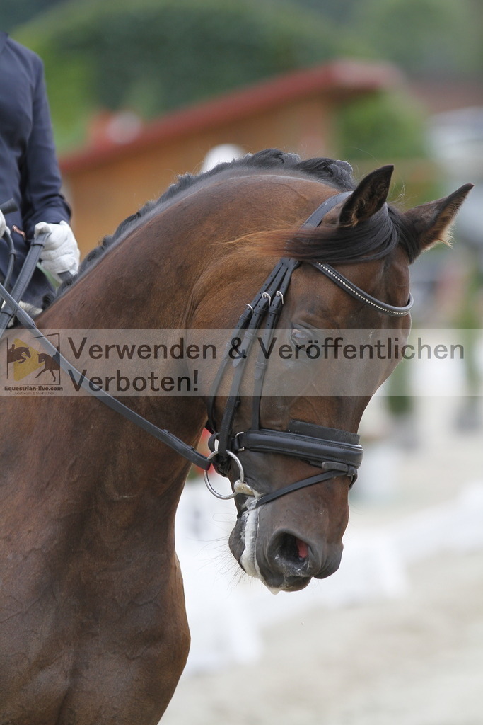 _MG_5027 | equestrian-live-com