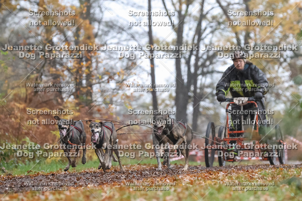 Dog Paparazzi - Ströhen 25-10 | Dog Paparazzi Jeanette Grottendiek Fotografie & Videografie - Realisiert mit Pictrs.com