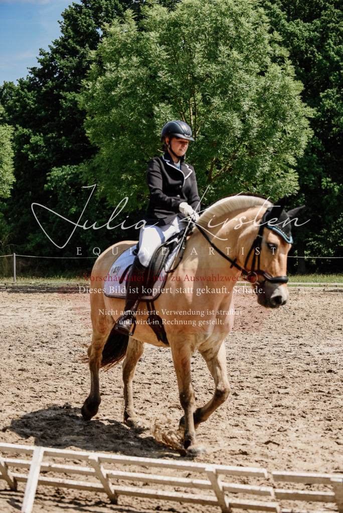 DSC_1670 | Pferde- und Turnierfotografie in Westsachsen. Pferdeportraits, Auftragszeichnungen und intuitive Kunst.