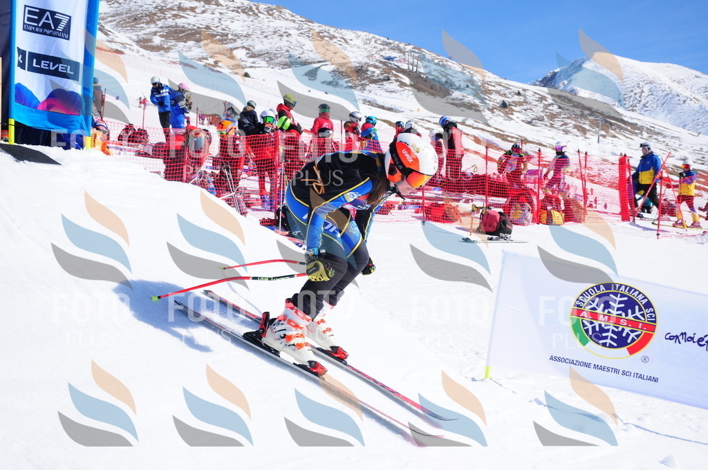 DSC_3841 | holidayphoto