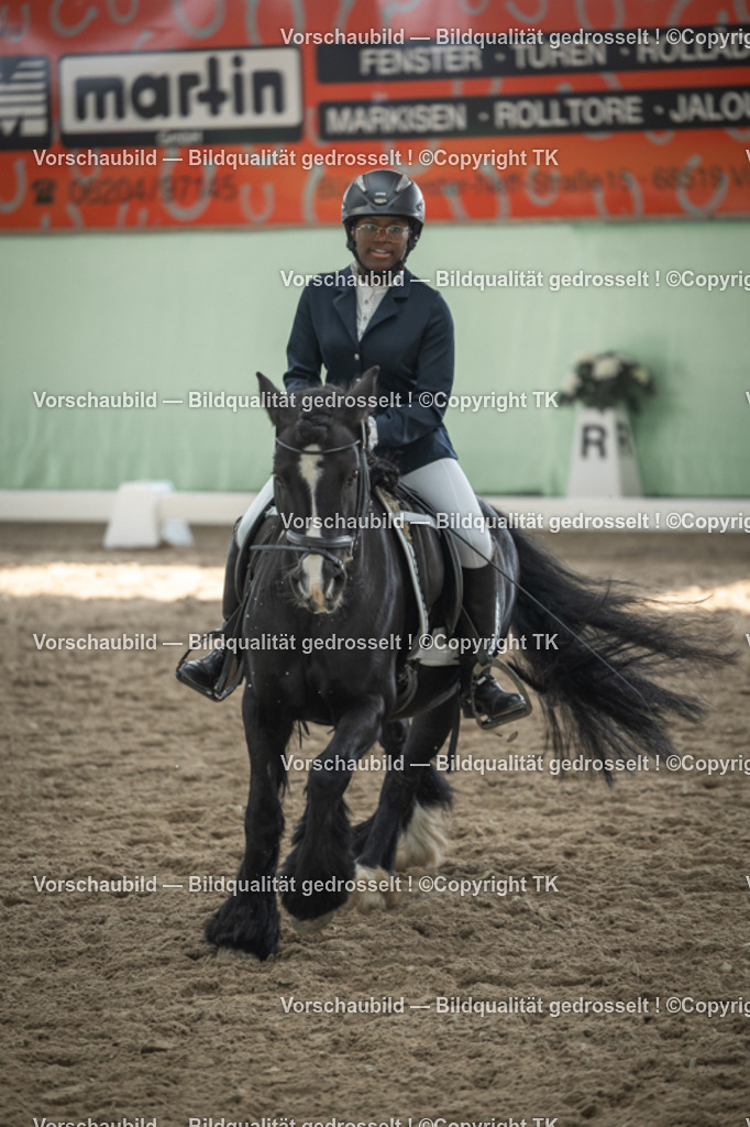 _D5A5537 | Emotionale Pferde- & People-Fotografie rund um Heidelberg, Leimen & Umgebung. Natürliche Fotos von Pferd, Mensch & Familie. Jetzt Termin sichern!