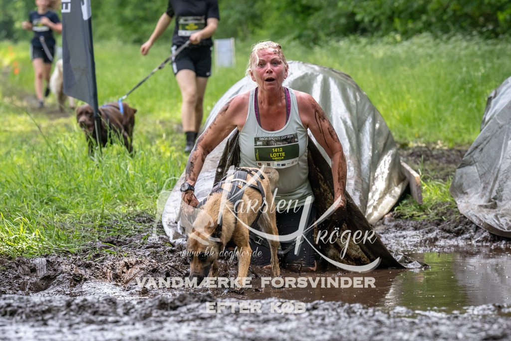 1250_ZZ93782 | kk-dogfotos