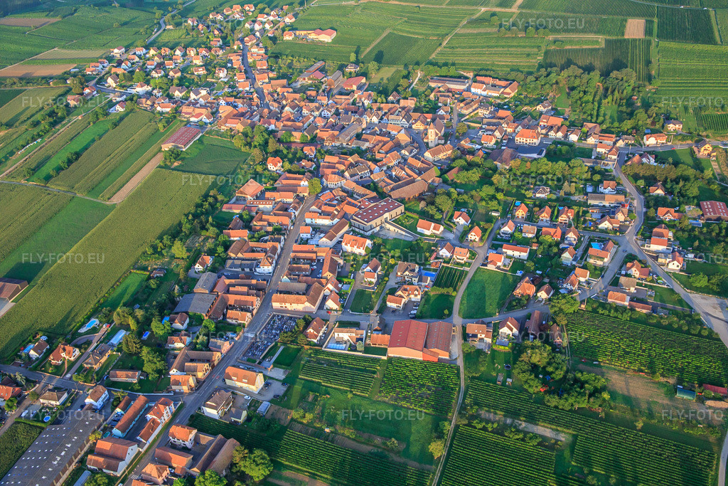 Vue aérienne: Vue de la ville depuis l'est à Dahlenheim dans le département Bas Rhin, France – .Photo: IMG_138019.jpg prise le 19/08/2023 par Werner Riehm/FLY-FOTO.eu – Résolution de l'original: 5472 x 3648 px