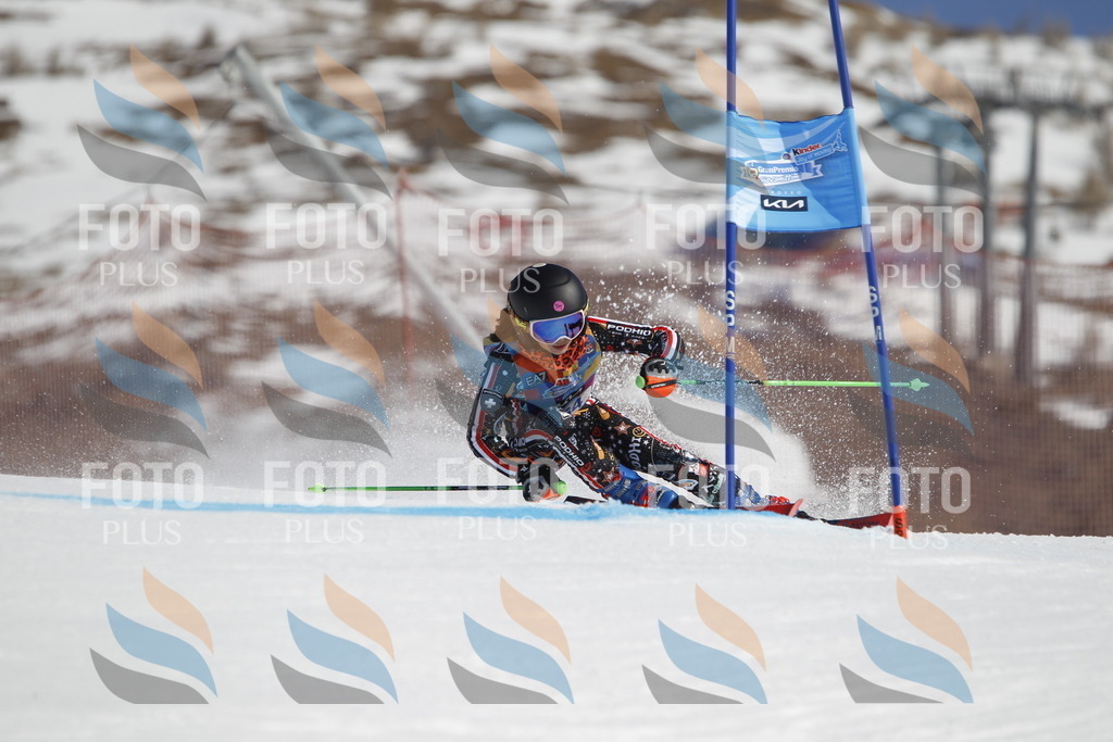 _U3G9686 | holidayphoto