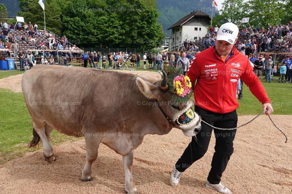 DSC04229 | Schwingen - Realisiert mit Pictrs.com