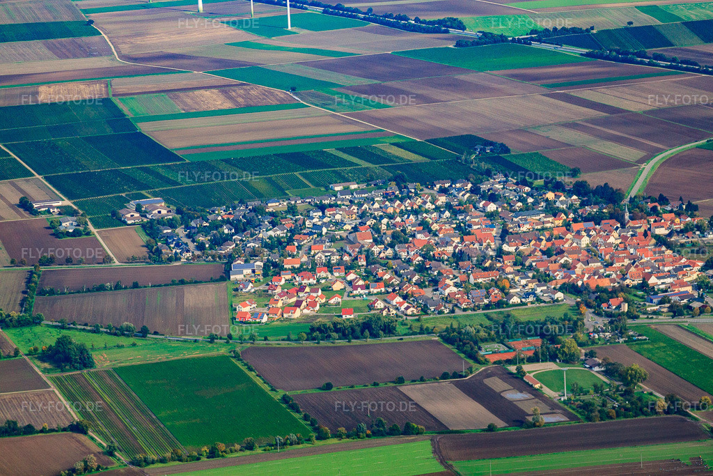 Luftbild: Ortsansicht von Süden in Heuchelheim bei Frankenthal im Bundesland Rheinland-Pfalz in Deutschland. Foto: IMG_34402.jpg vom 03.10.2010 durch Werner Riehm/FLY-FOTO.deAuflösung des Originals: 4752 x 3168 px