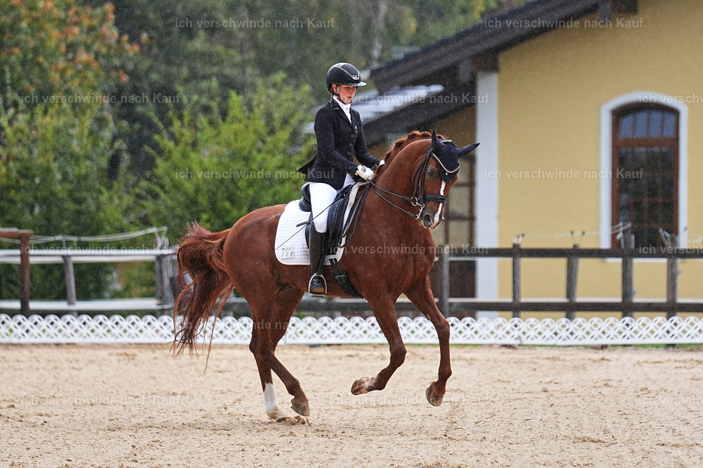 05-223-DRESSUR M_  -Marixx-4952 | working equitationturnier fotograf videograf stoibphotography marixx film working equitation deutschland reitsport turnierfotografie eventfotografie equestrian events