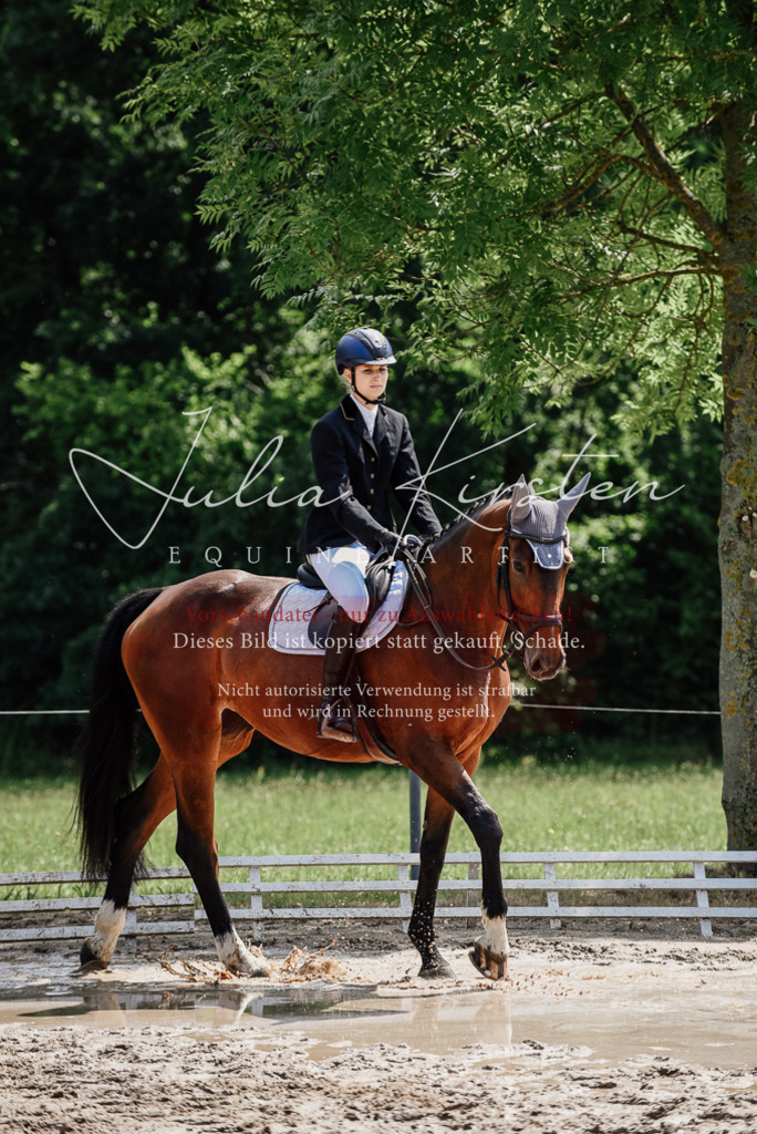 DSC_1109 | Pferde- und Turnierfotografie in Westsachsen. Pferdeportraits, Auftragszeichnungen und intuitive Kunst.