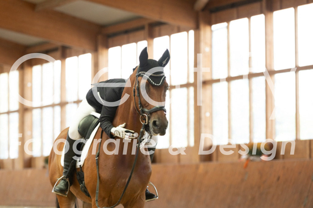 IMG_1789 | Creatify Fotografie