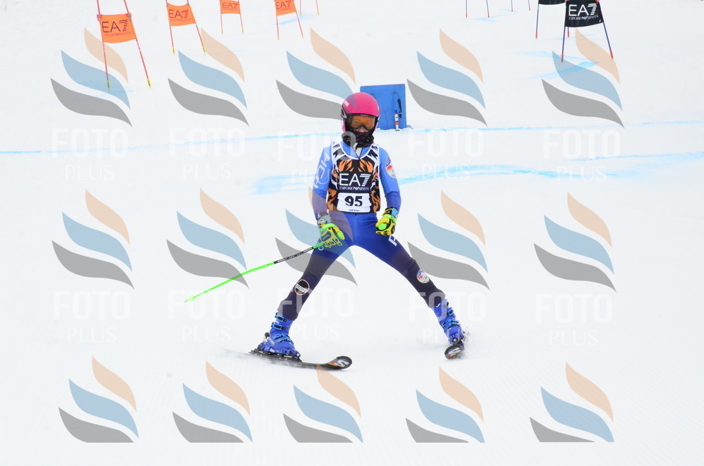 _ELE3514 | holidayphoto