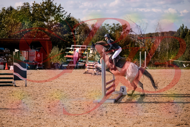 2026_10_03_Siefer-Hof_154508_Z81_63330399 | Professionelle Reitsport-, Turnier- und Eventfotografie von Robert Broda. Galerien mit ausgewählten und bearbeiteten Bildern direkt online ansehen und bestellen.