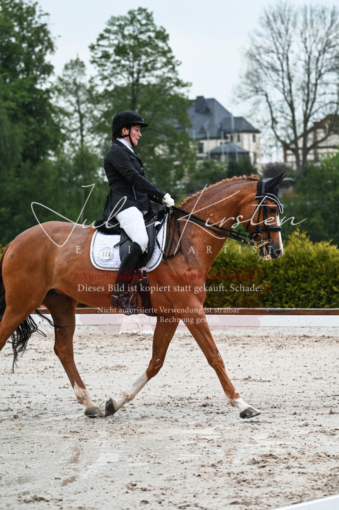 DSC_4456 | Pferde- und Turnierfotografie in Westsachsen. Pferdeportraits, Auftragszeichnungen und intuitive Kunst.