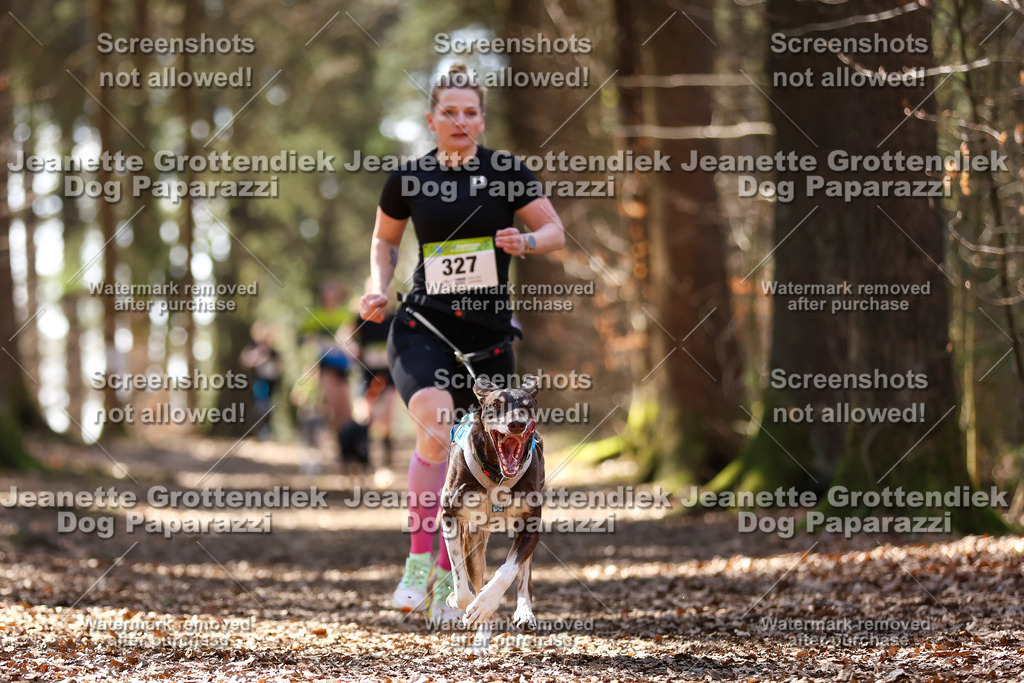 Dog Paparazzi - VCC26-1282 | Dog Paparazzi Jeanette Grottendiek Fotografie & Videografie - Realisiert mit Pictrs.com