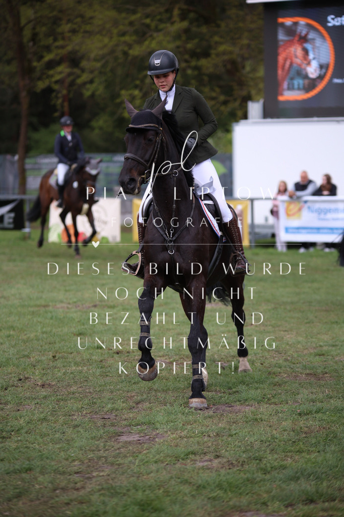 IMGT1858 | pl-fotografie