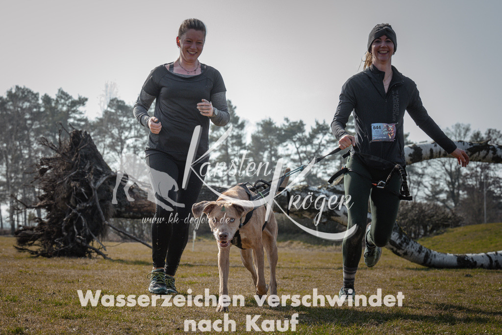1106_ZZ94687 | kk-dogfotos