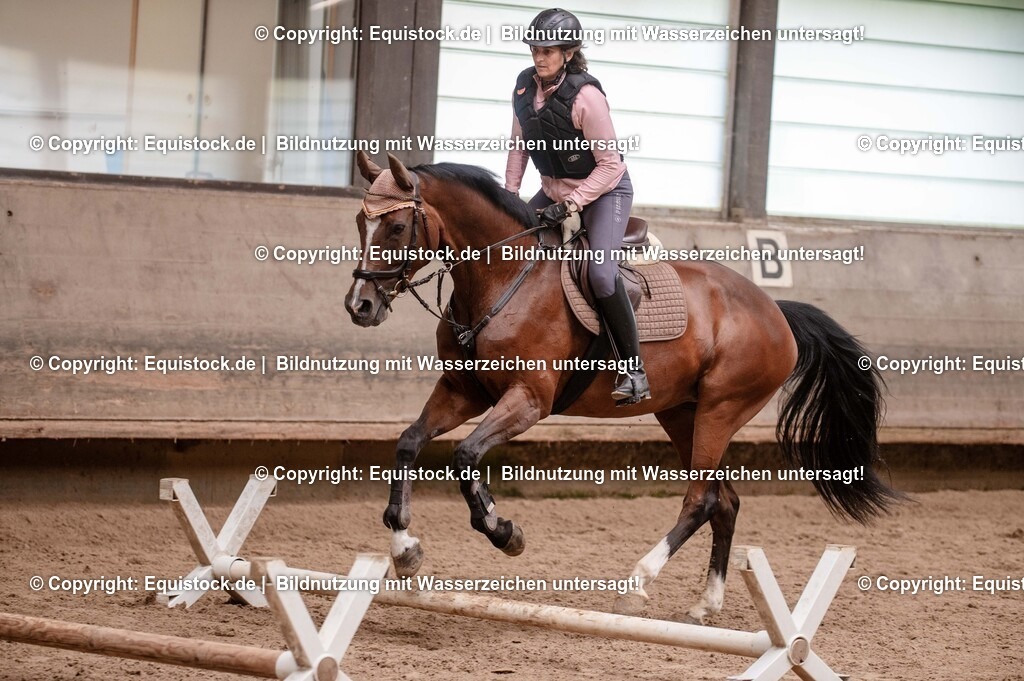 20250725_Vielseitigkeitslehrgang-Marbach_0208 | Foto: Thomas Hartig