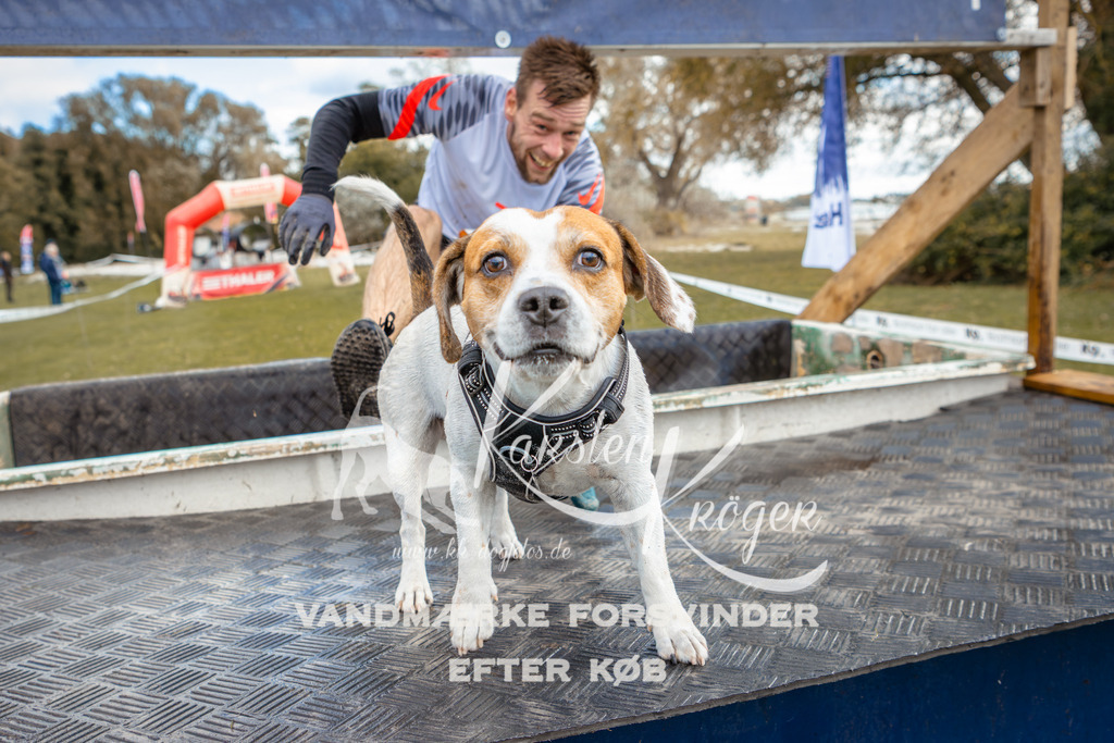 1514_ZZ96220 | kk-dogfotos