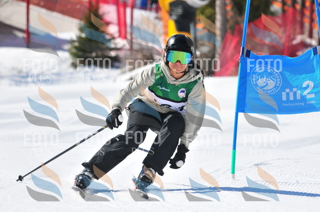 C4162 | holidayphoto