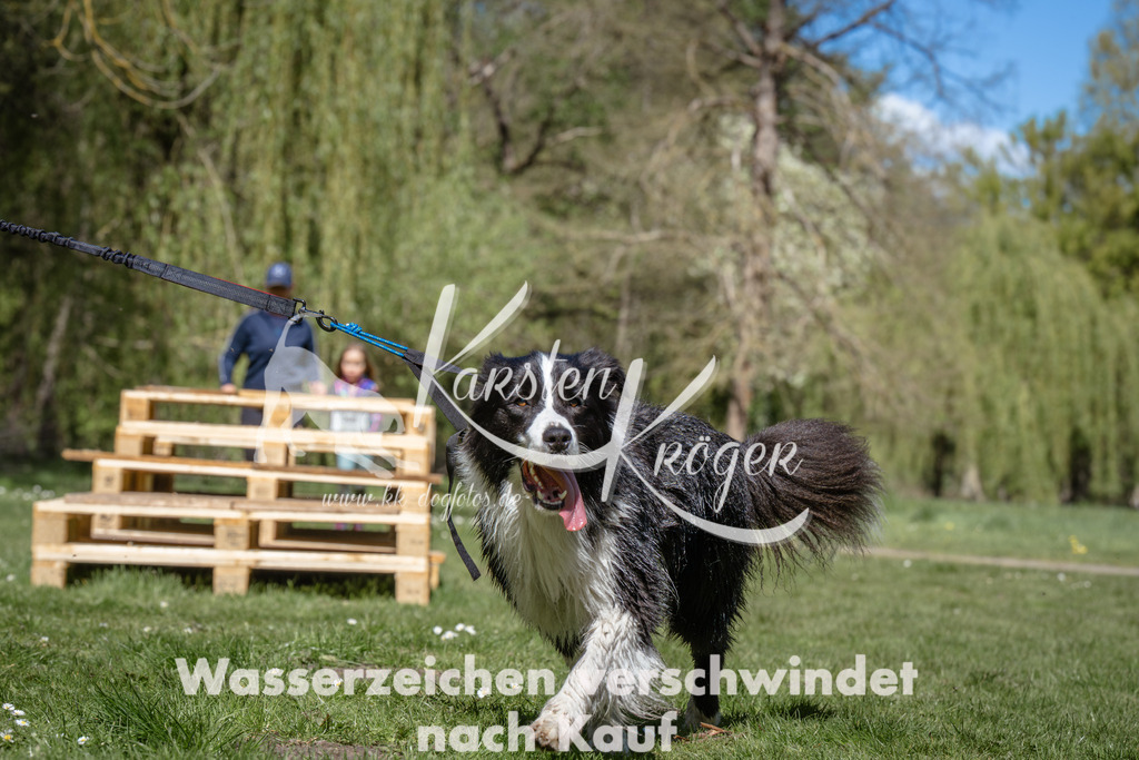 1244_ZZ93891 | kk-dogfotos