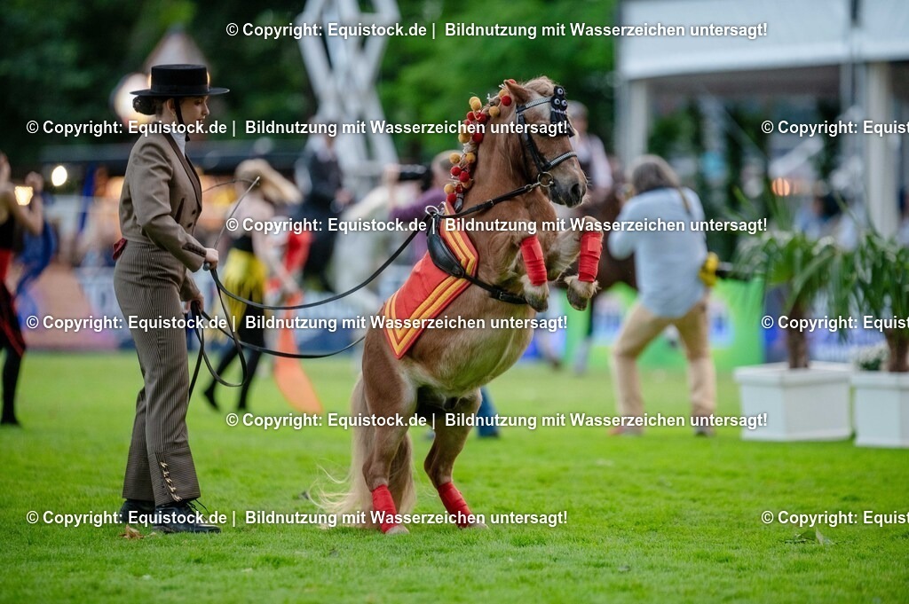 20250606_Lange-Pferdenacht_0625 | Foto: Thomas Hartig