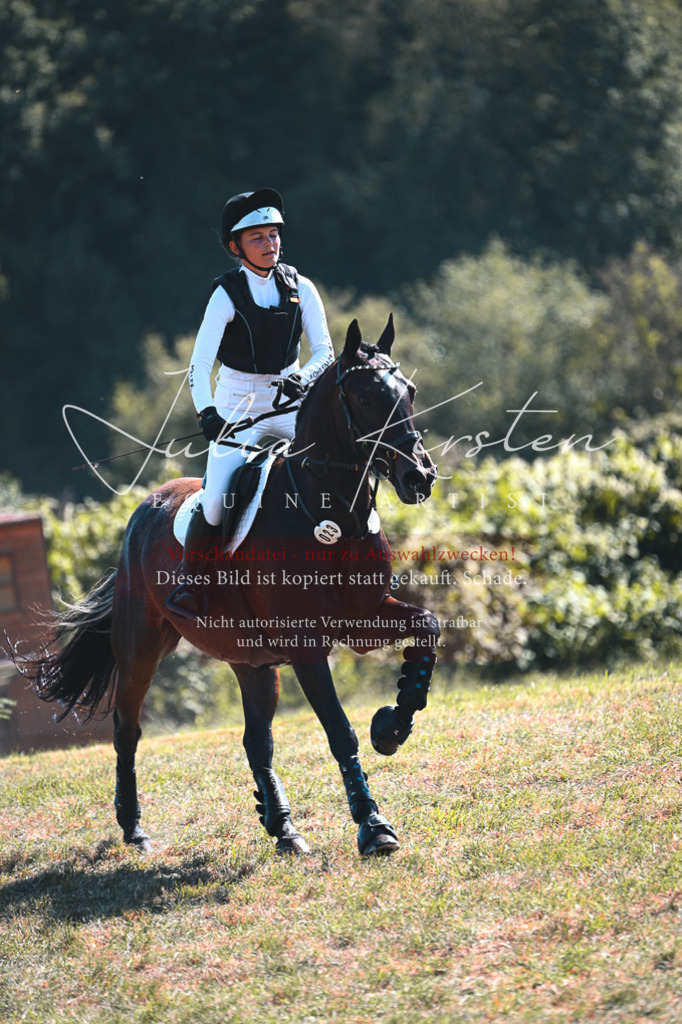 DSC_8217 | Pferde- und Turnierfotografie in Westsachsen. Pferdeportraits, Auftragszeichnungen und intuitive Kunst.