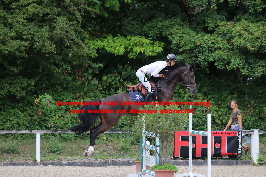 IMG_2370 | lmwpictures - Realisiert mit Pictrs.com