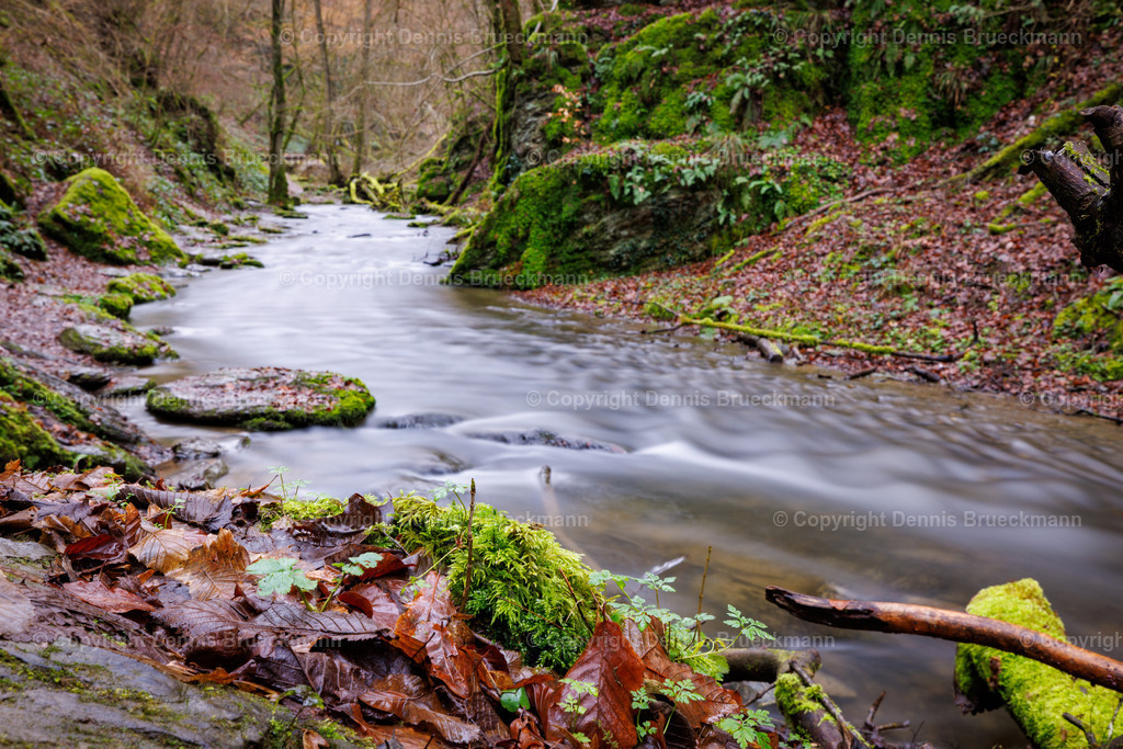 Ehrenbachklamm | Dennis-Brueckmann-Fotografie - Realisiert mit Pictrs.com