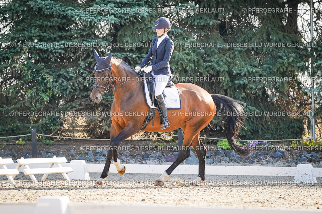 DSC08898 | Pferdegrafie