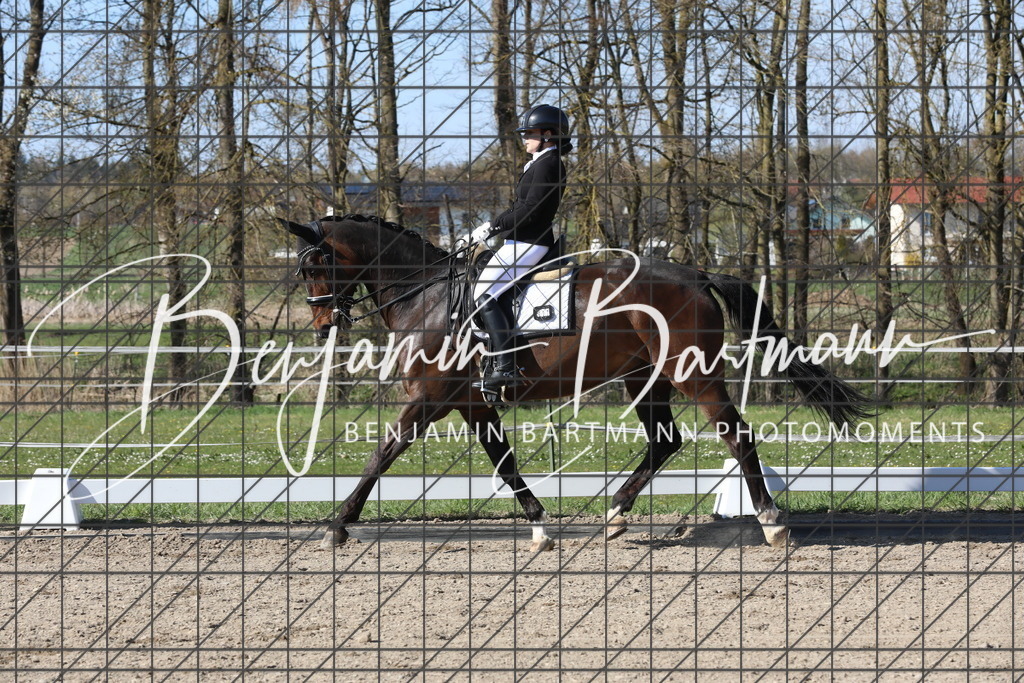 AZ2A6294 | Benjamin Bartmann Photomoments