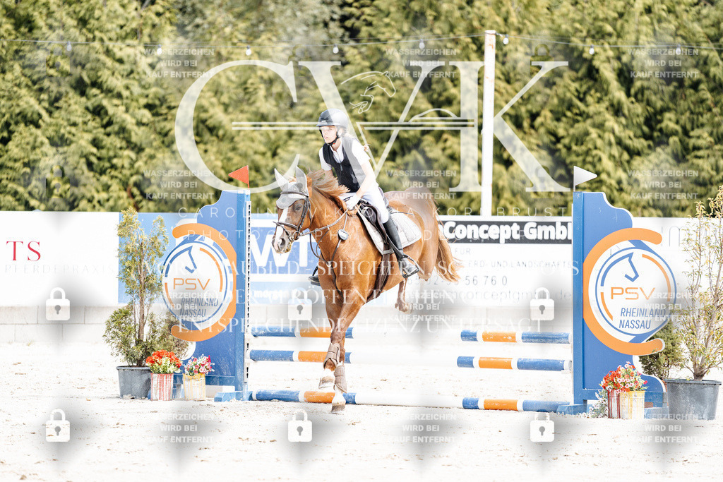 CK906543 | Turnierfotografie Pferdefotografie Trier Rheinland-Pfalz Pferdesport Reitsport Tierfotografie Sportfotografie Pferdevideo Pferdevideografie Equestrianvideography equestrianphotography  - Realisiert mit Pictrs.com