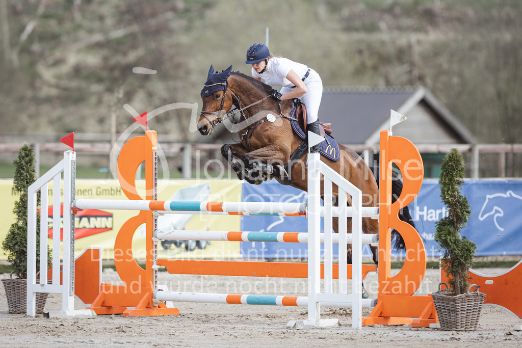 220413_LateEntry_MzH_SprPf-M-131 | Frühlingsfest der Pferde 
Outdoor Late Entry in Herford 
Springpferde-L
Springpferde-M*