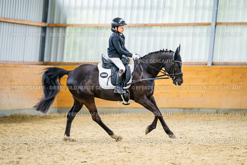 DSC04779 | Pferdegrafie