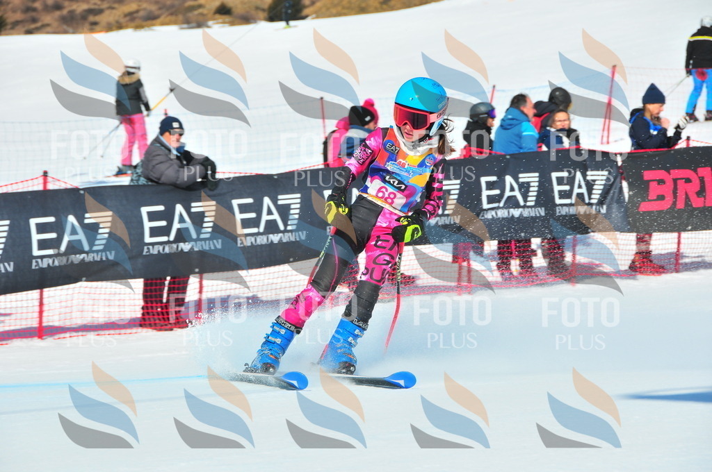 DSC_4266 | holidayphoto