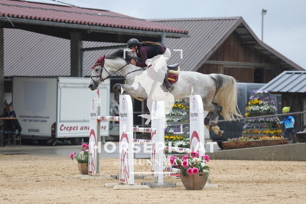 0P6A3021 | Willkommen bei Brunnmayr - Design & Fotografie – Ihrem Spezialisten für Reitturniere und Pferdeveranstaltungen in Oberösterreich, Salzburg und Bayern! Seit über 17 Jahren sind wir leidenschaftlich dabei.