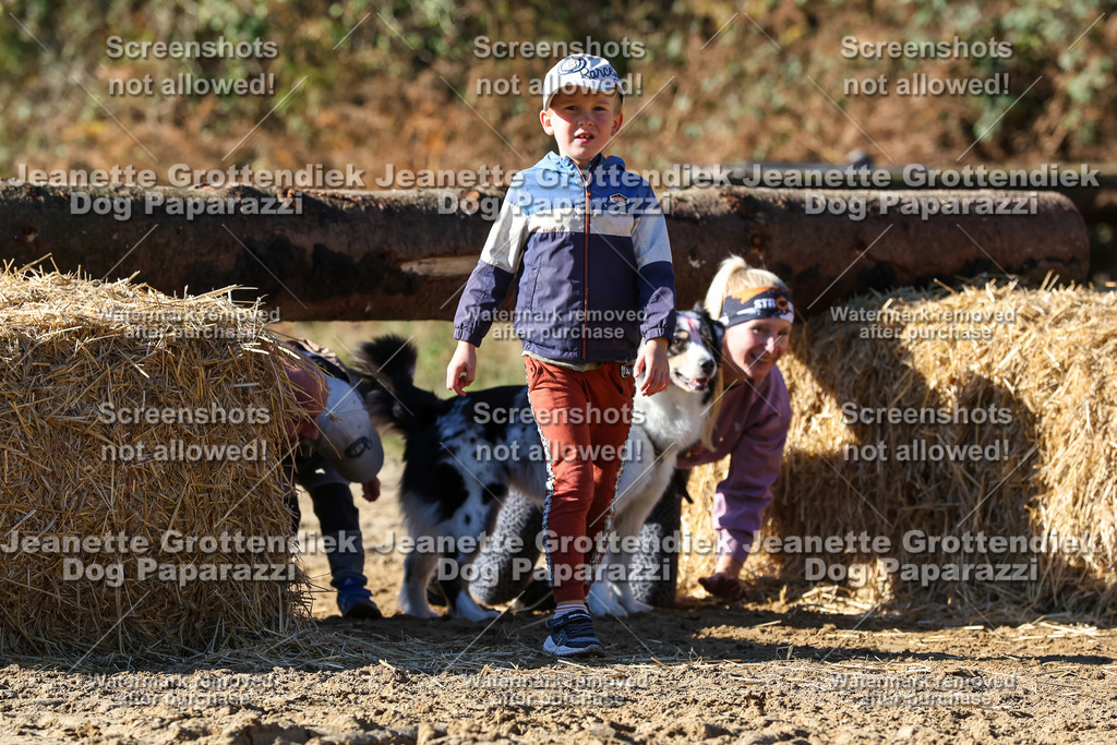 Dog Paparazzi - Strongdog 10-25-2721 | Dog Paparazzi Jeanette Grottendiek Fotografie & Videografie - Realisiert mit Pictrs.com