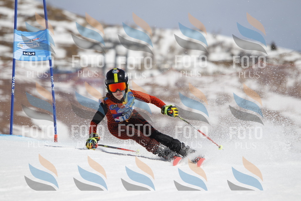 _U3G1527 | holidayphoto