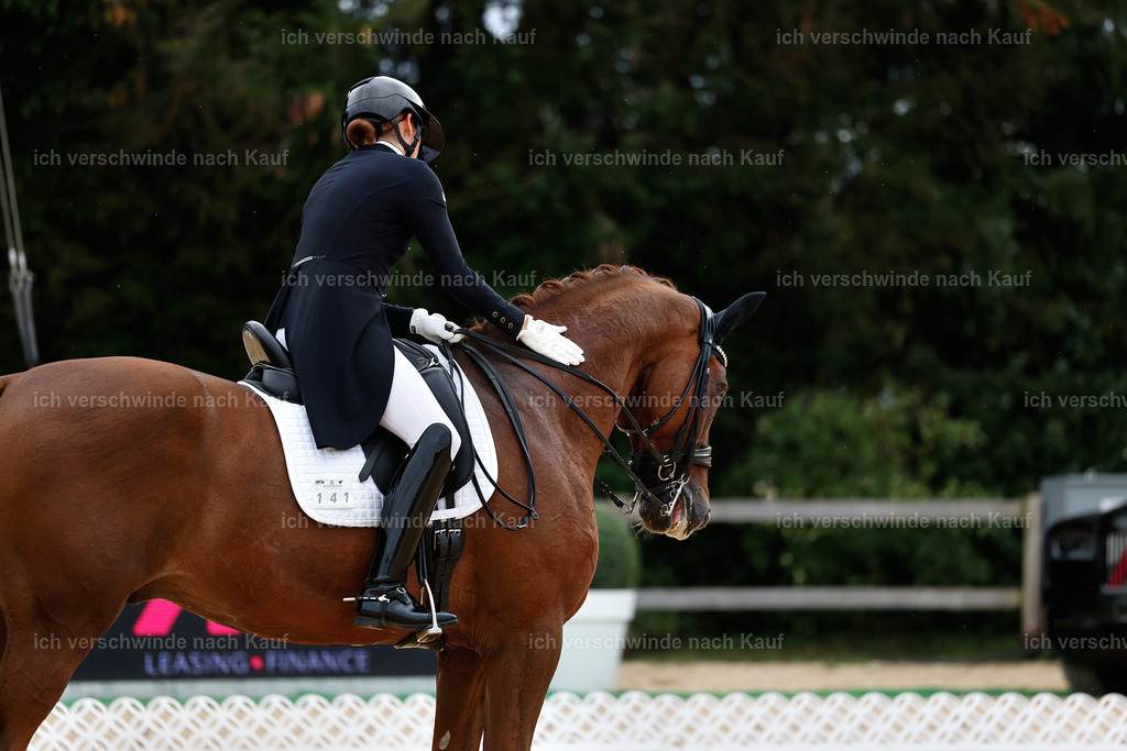 11-141-Dressur S___-Marixx-1858 | working equitationturnier fotograf videograf stoibphotography marixx film working equitation deutschland reitsport turnierfotografie eventfotografie equestrian events