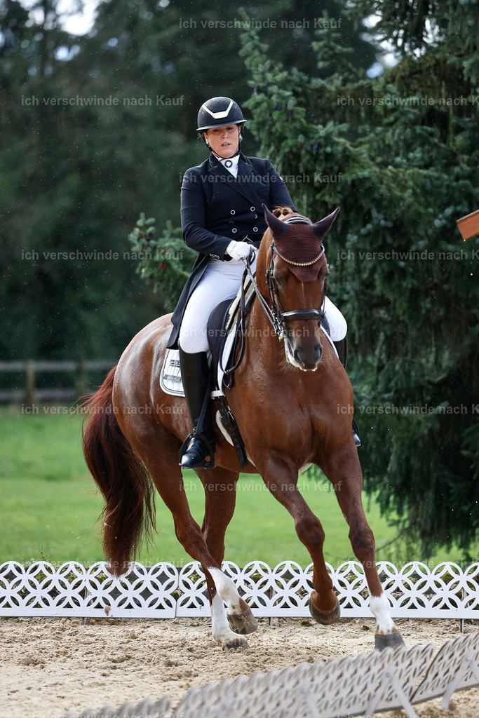 10-230-ST.GEORG SPECIAL -StoibPH-3171 | working equitationturnier fotograf videograf stoibphotography marixx film working equitation deutschland reitsport turnierfotografie eventfotografie equestrian events