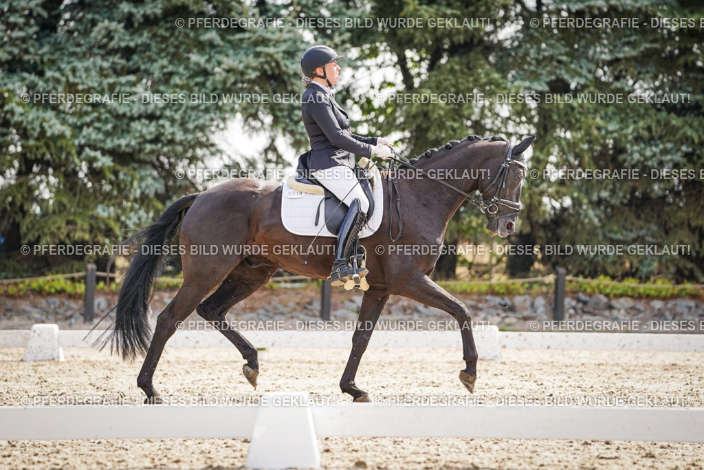 DSC07191 | Pferdegrafie