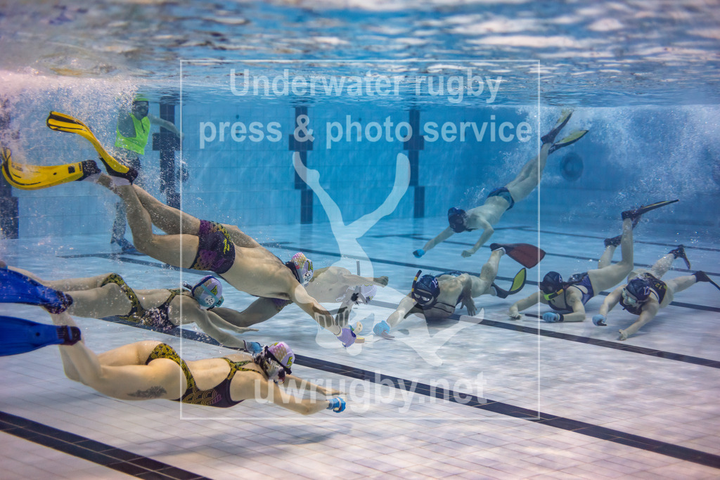 Unterwasser-Hockey: Rückrunde Liga 2023/2024 - Bild 23 | Spiel um Platz 3: TCO Weinheim 1 in blau gegen TSG Frechen in weiß. Kampf um den Puck nach dem Anschwimmen, wo der Puck in die Spielfeldmitte gelegt wird. - Realisiert mit Pictrs.com