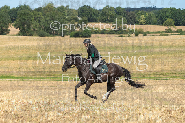 Jagd Wittenberg_MarinaHewig_MCH6634 | Fotografie, FotoArt, PferdesportArt, Pferdesportfotografie, Landschaftsfotografie, Reisefotografie, Reise, Pferde - Realisiert mit Pictrs.com