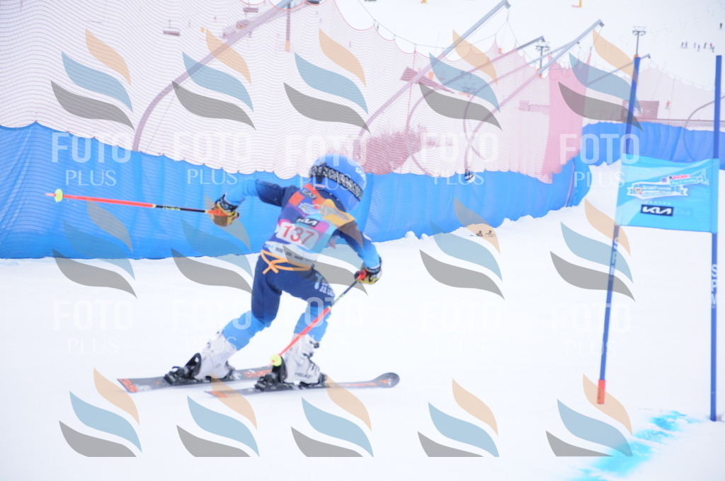 DSC_8653 | holidayphoto