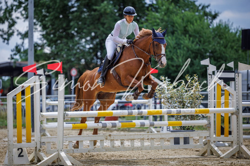 20260705-_3LI6118 | Tierfotografie Pferde, Hunde, Katzen, Haustiere.
Turnierfotografie Reitturniere, Reiten, Springreiten, Dressur in Hanau, dem Main-Kinzig-Kreis und dem Rhein-Main- Gebiet um Frankfurt