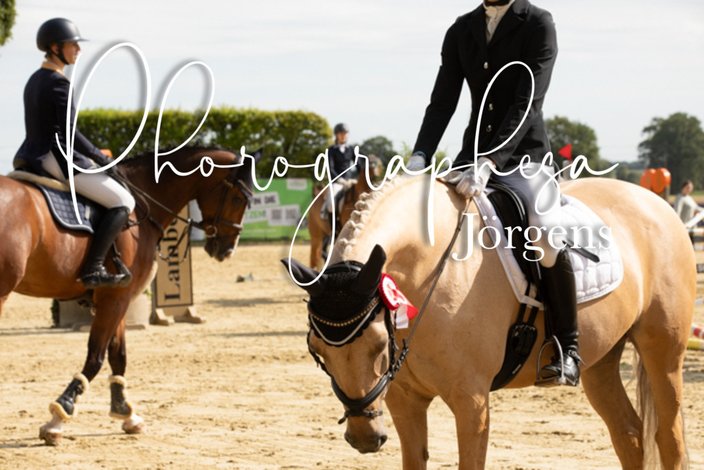 IMG_6658 | photographesa-joergens - Realisiert mit Pictrs.com