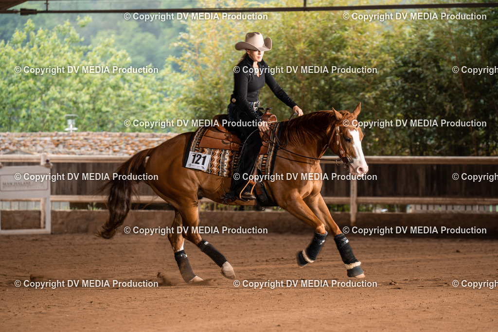 Erbach Tag 2-729 | dv-media-shop - Realisiert mit Pictrs.com