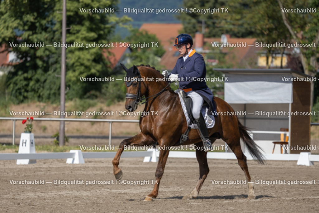 _D5A1434 | Emotionale Pferde- & People-Fotografie rund um Heidelberg, Leimen & Umgebung. Natürliche Fotos von Pferd, Mensch & Familie. Jetzt Termin sichern!