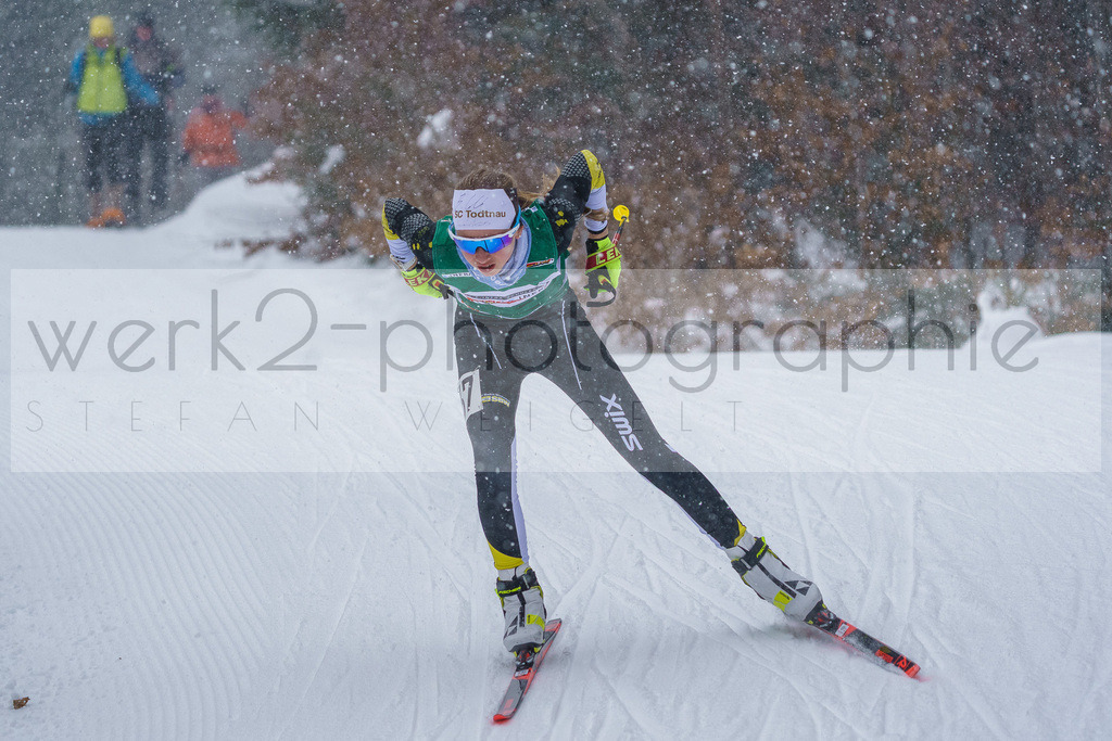 DSC Arber | Bayerischer Wald am 9. bis 12. Februar 2023
