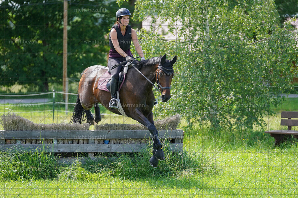 20240622-FAH07819 | Turnierfotografen Bayern, Reitsportbilder aus dem Geländekurs mit Felix Etzel auf dem Gut Waitzacker 2024